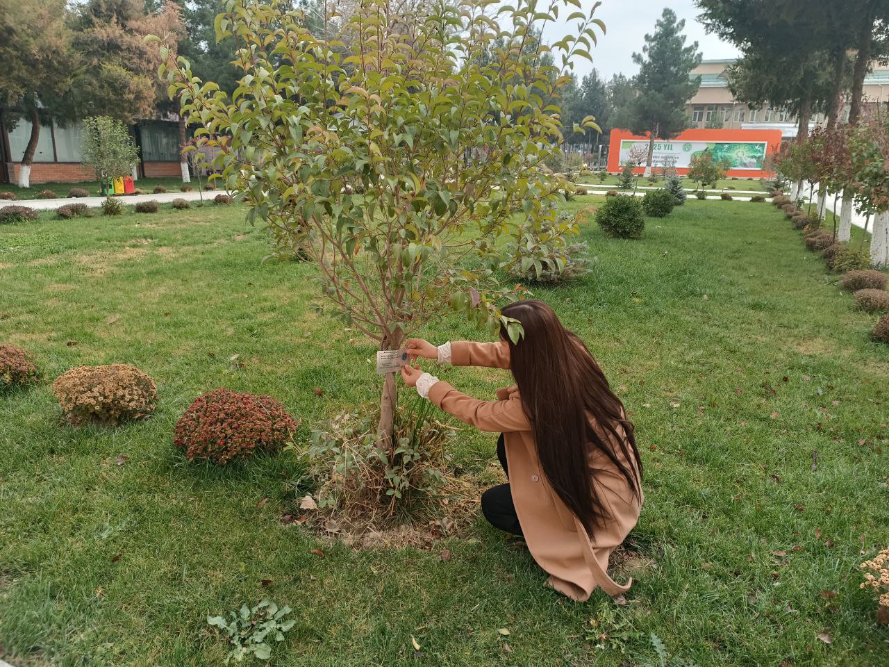 Tabiiy fanlar fakulteti iqtidorli talabalari o‘rtasida “Ekofotolavha” fototanlovi o‘tkazildi.